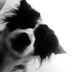 Meet your Posher, Brett